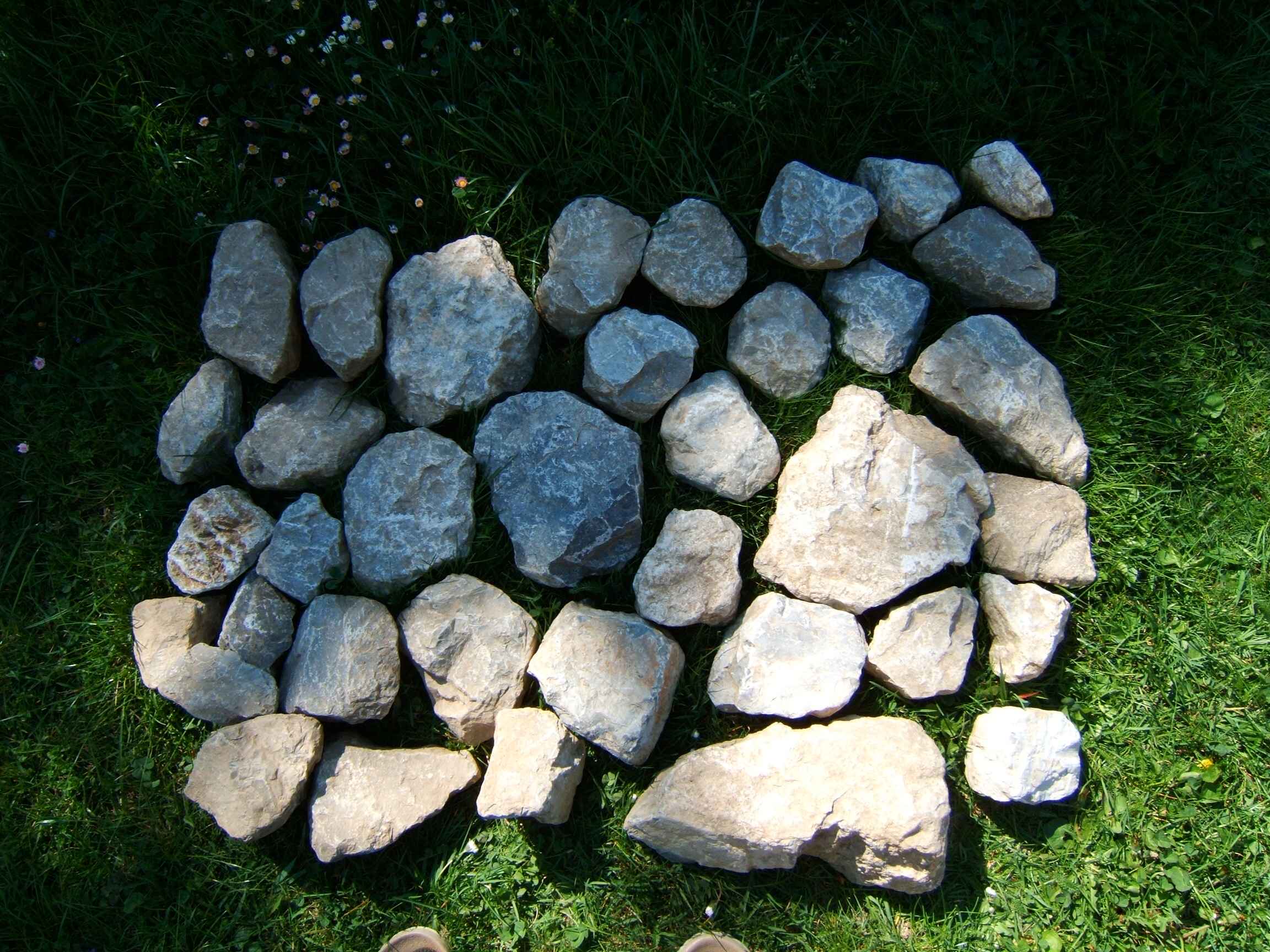 DSCF7983.jpg