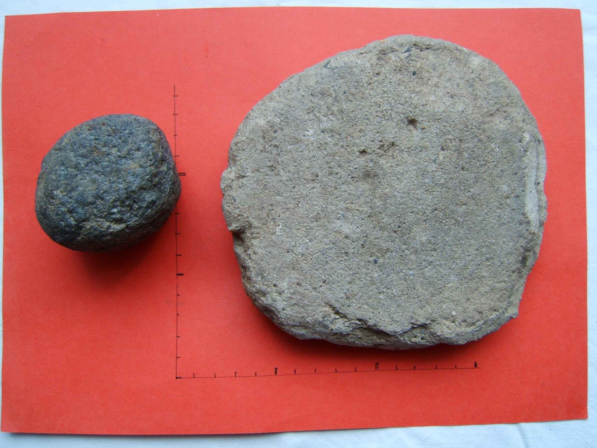 DSCF7995.jpg