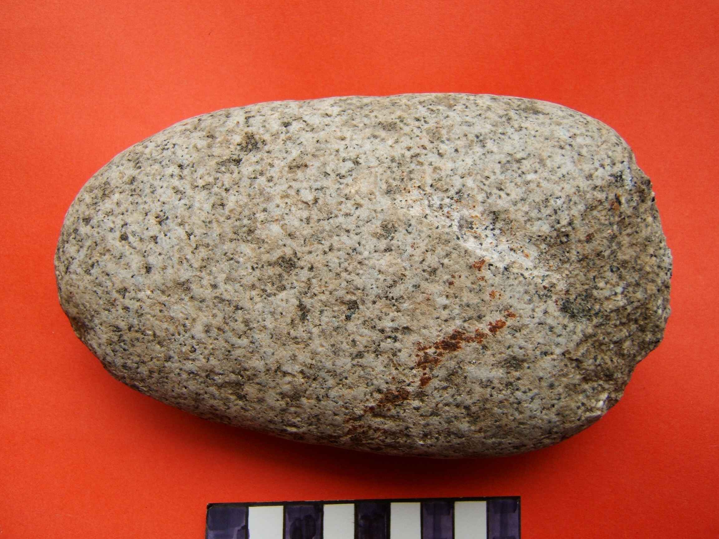 DSCF8028.jpg