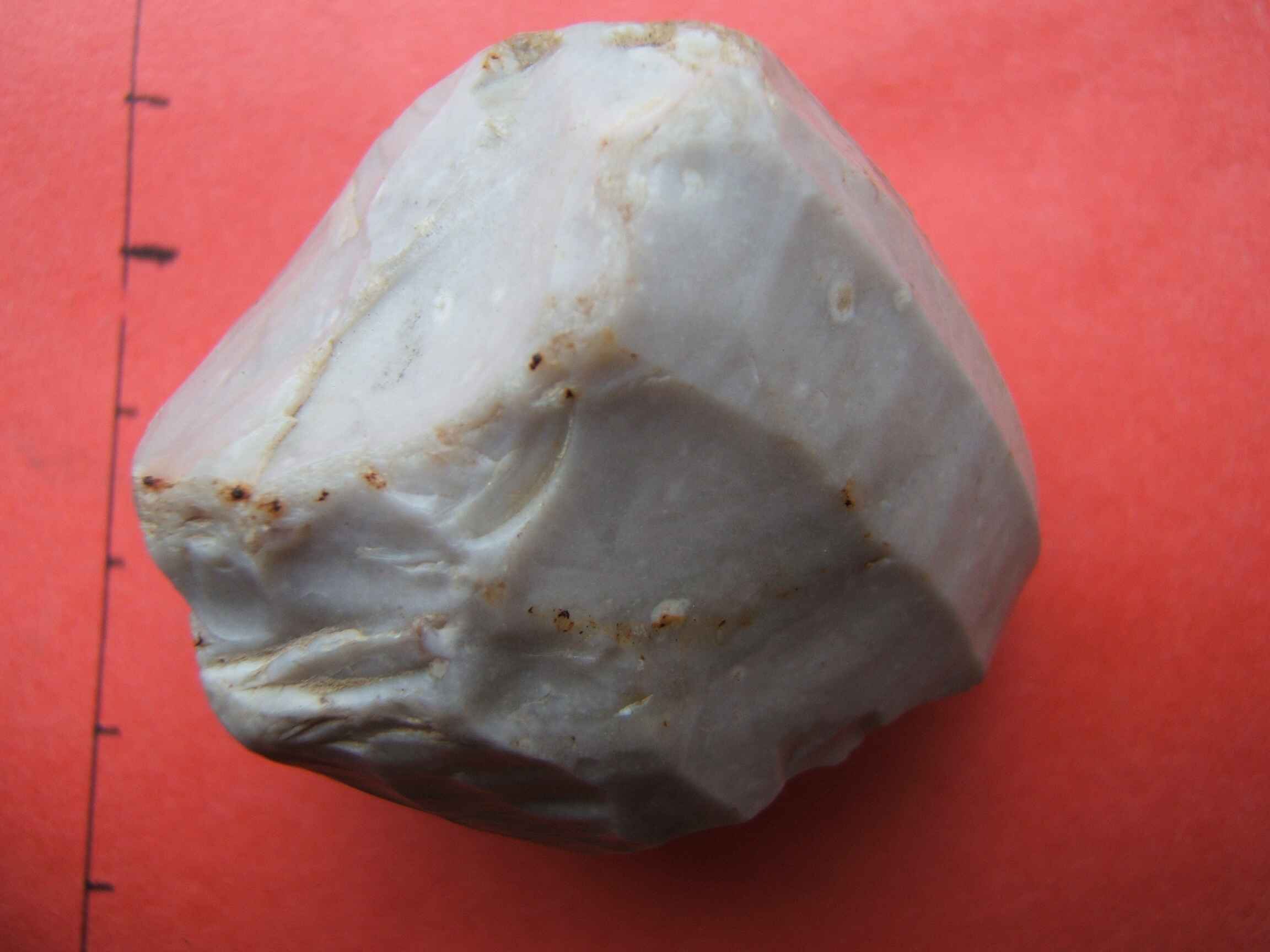 DSCF8123.jpg