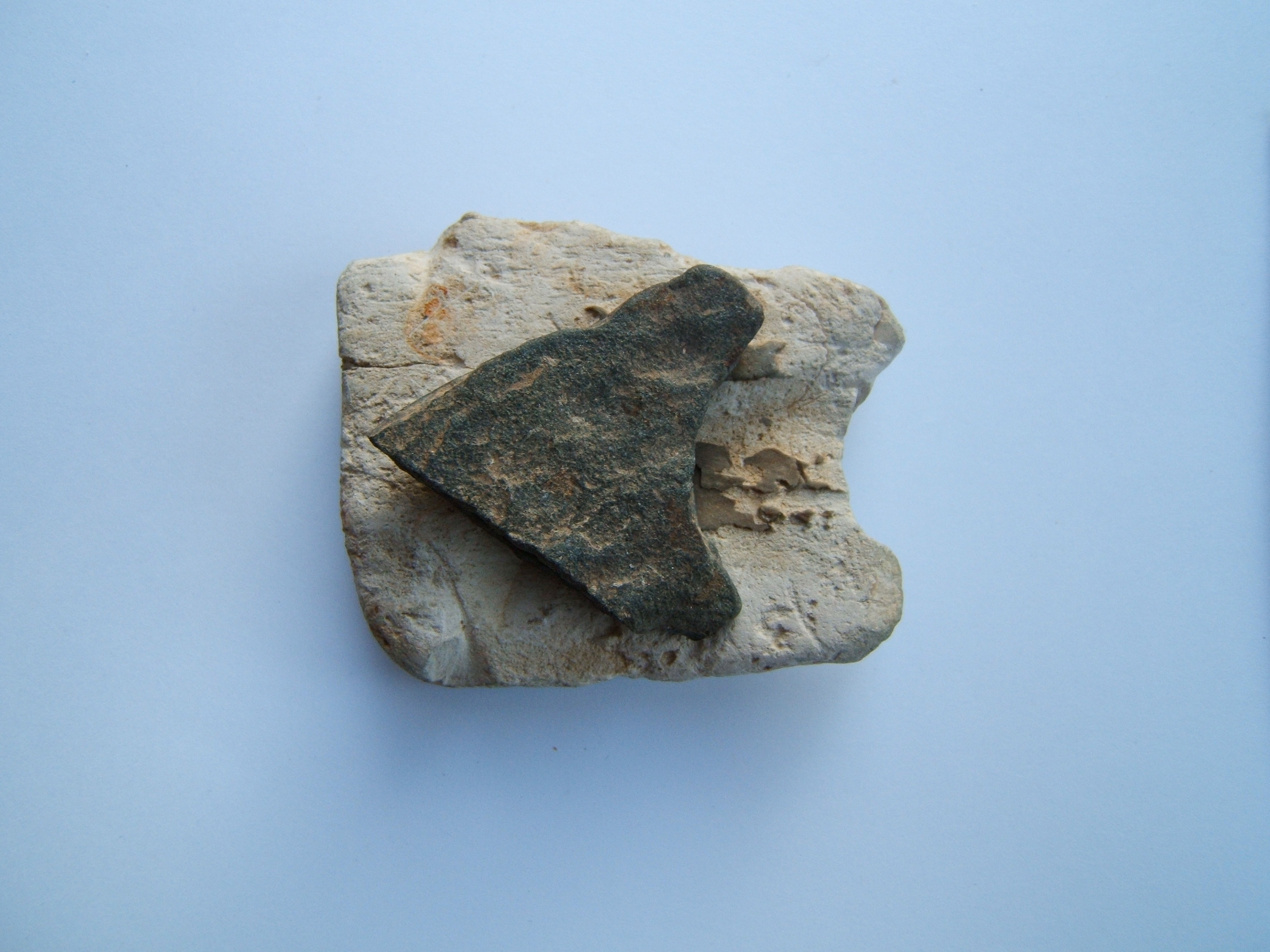 DSCF8386.JPG