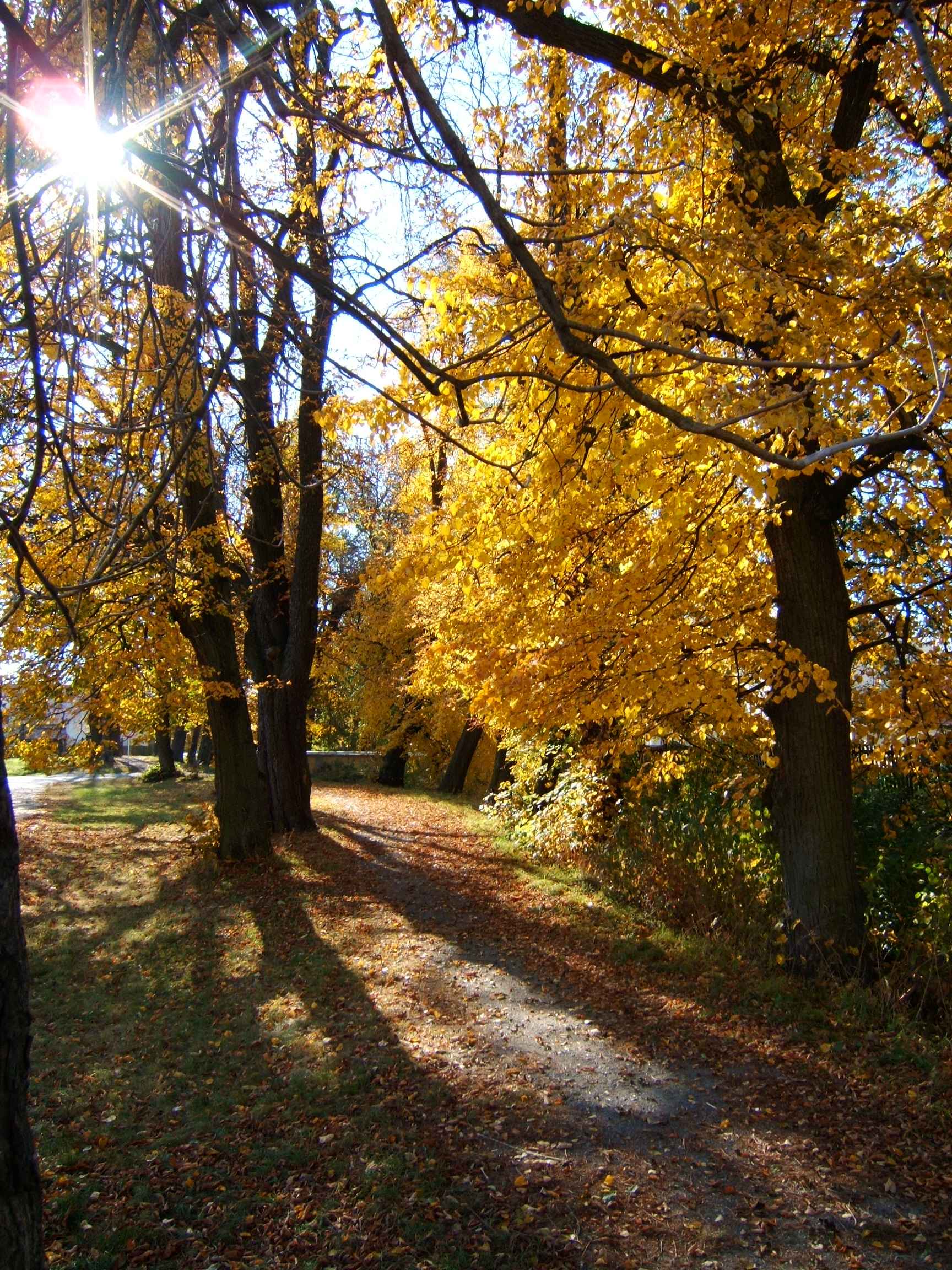 DSCF2923.jpg