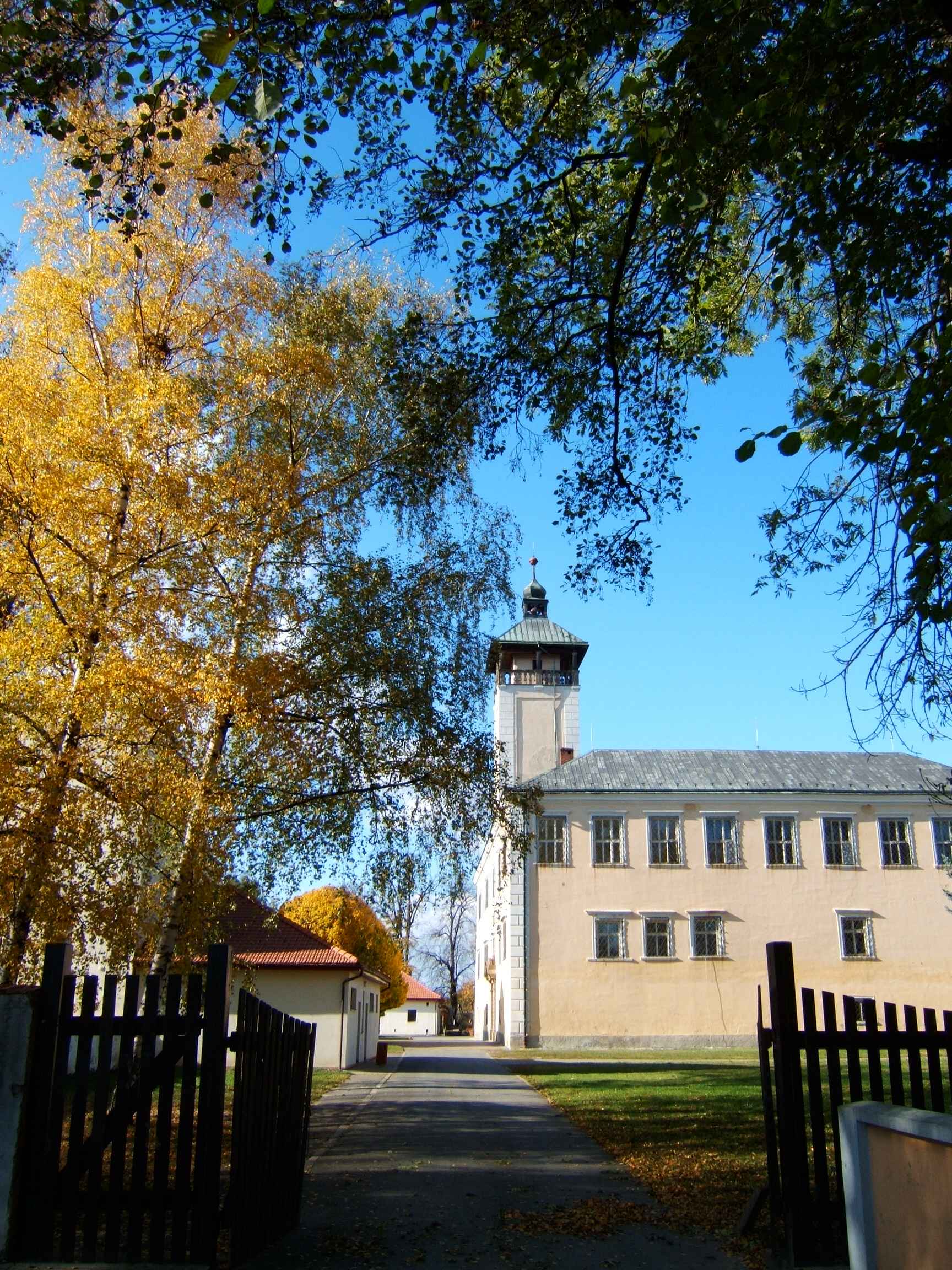 DSCF2926.jpg