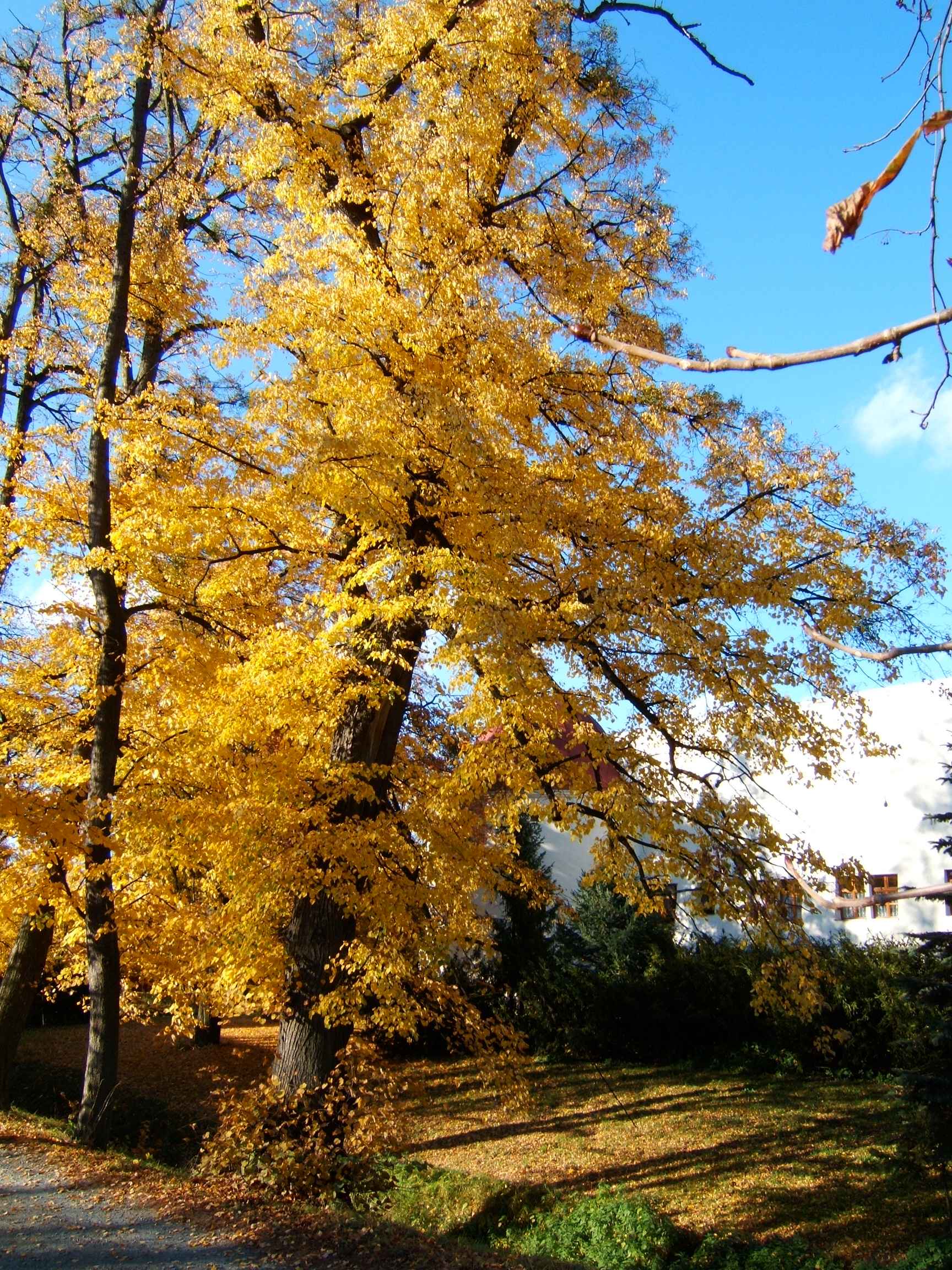 DSCF2932.jpg