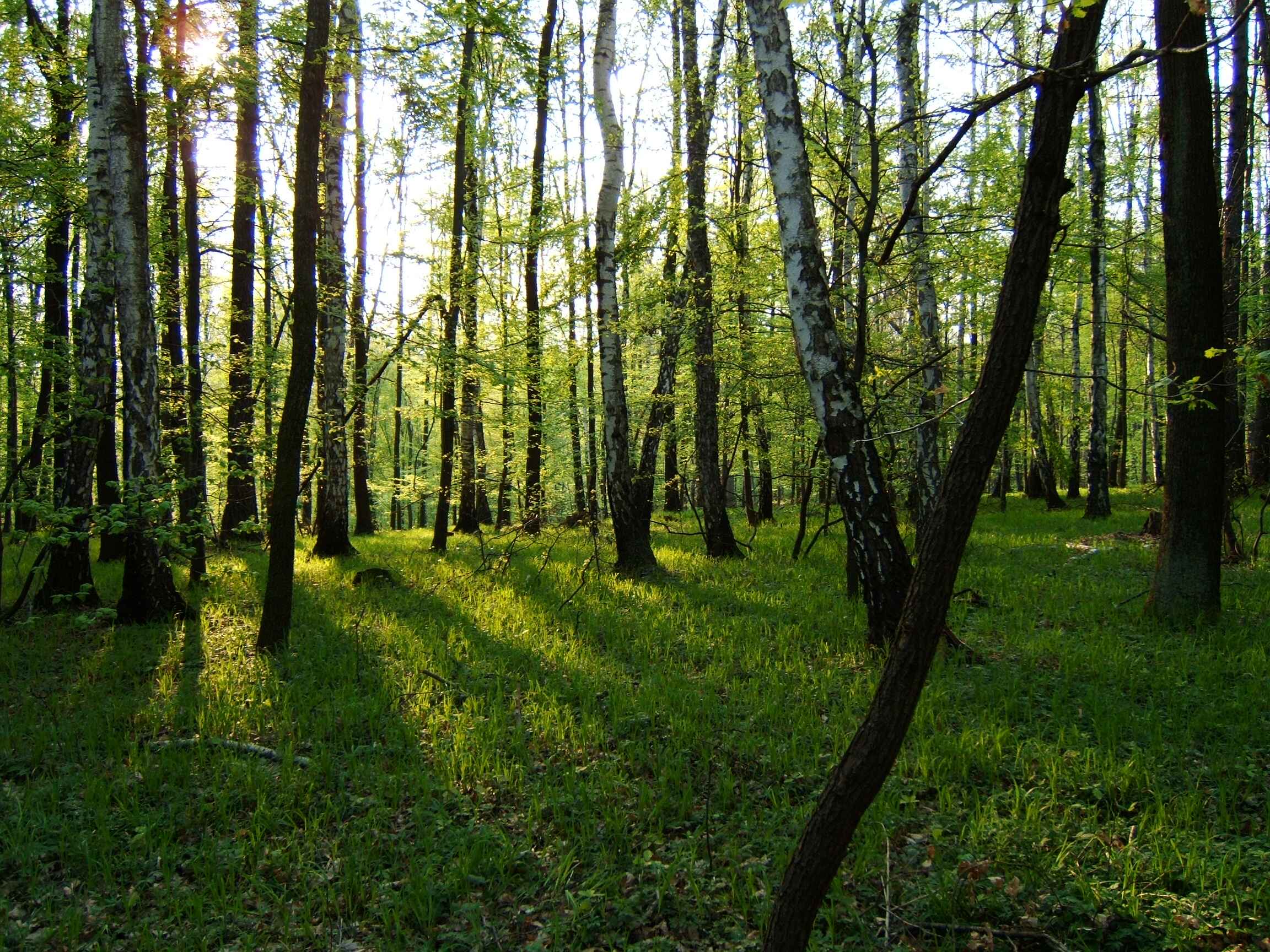 DSCF3673.jpg