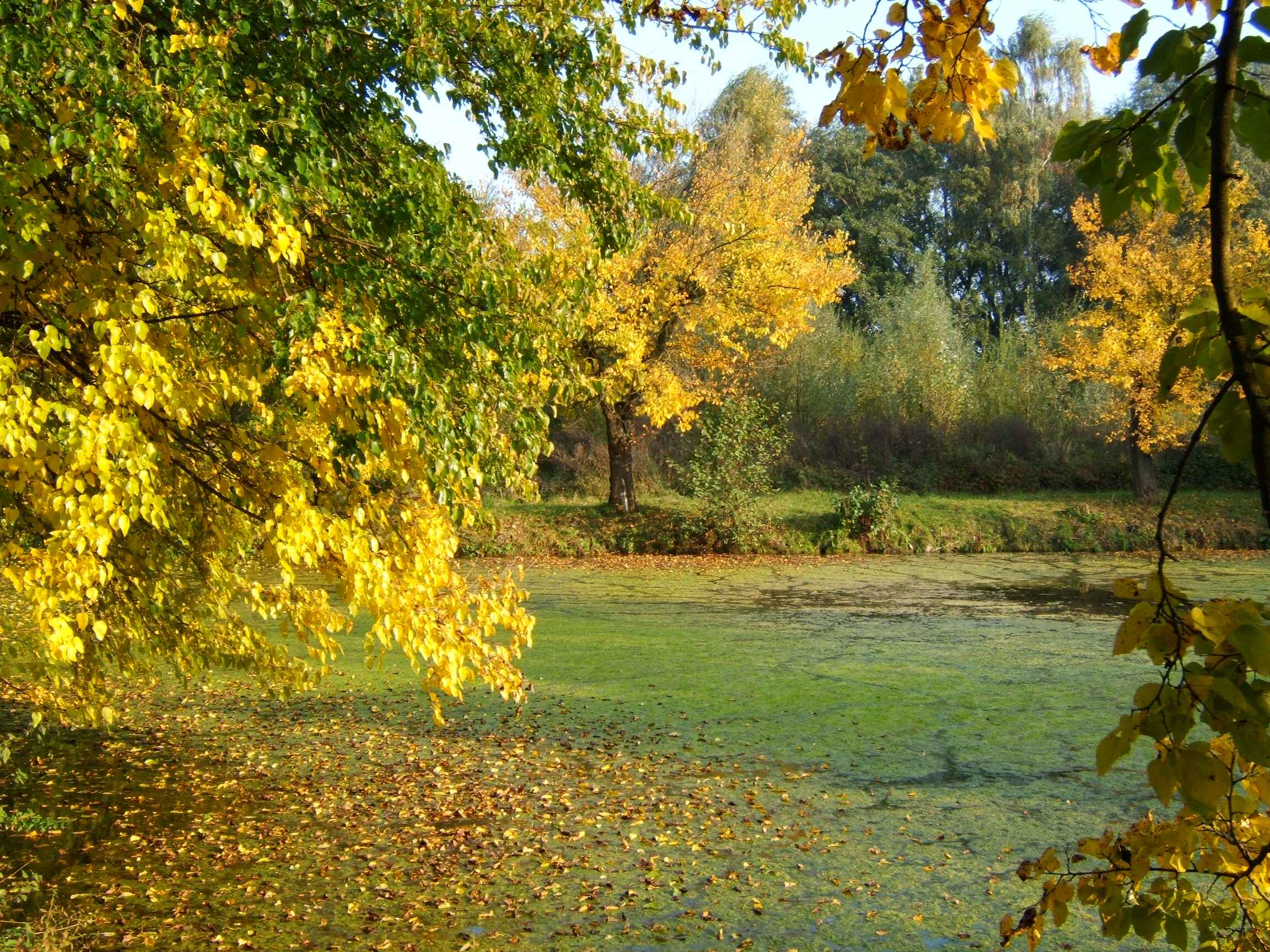 DSCF4445.jpg