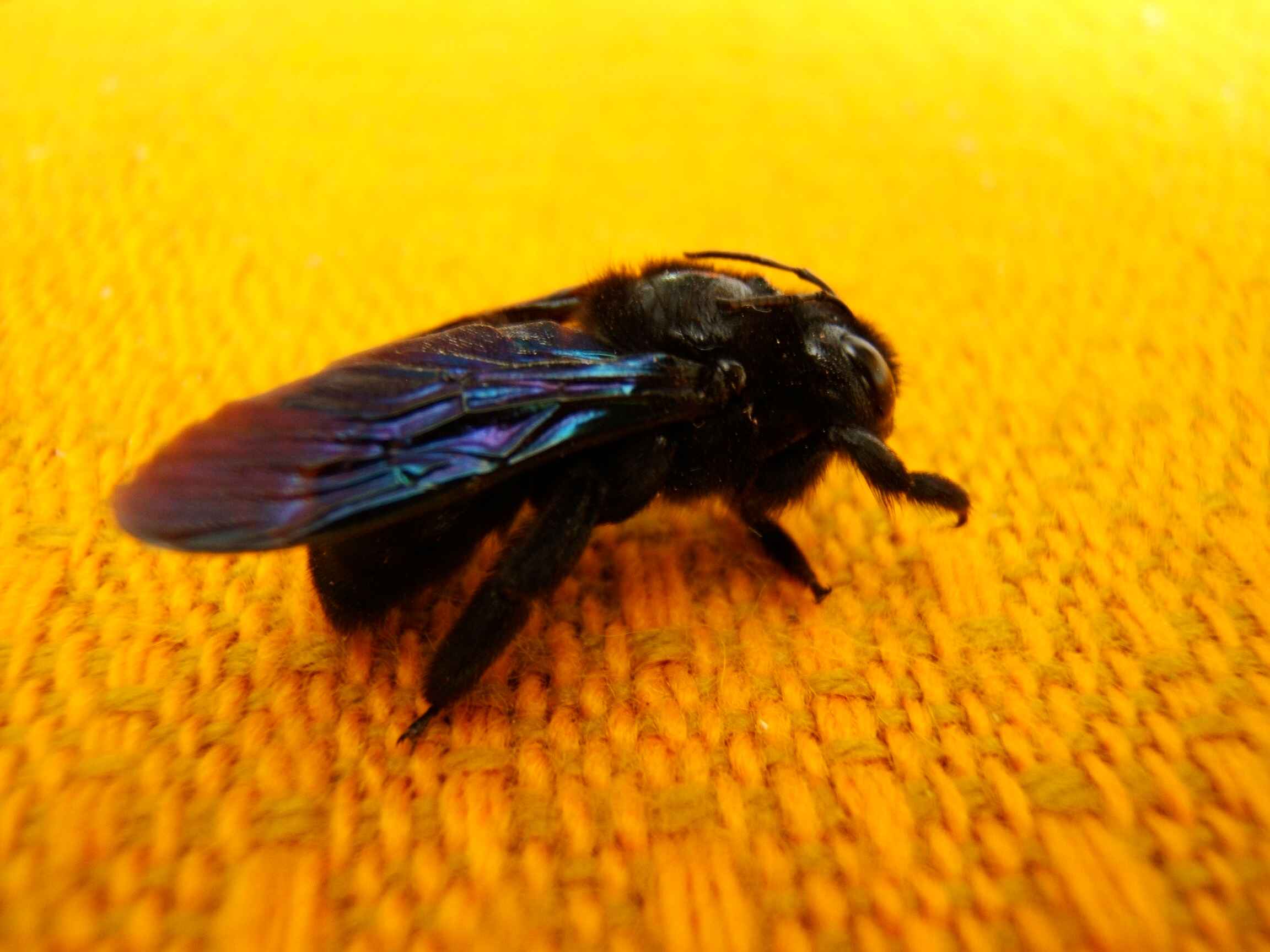 DSCF6221.jpg